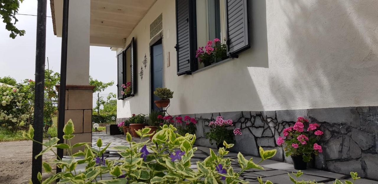 Villa Etna, salvia e rosmarino Maletto Exterior foto